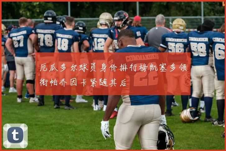 厄瓜多尔球员身价排行榜凯塞多领衔帕乔因卡紧随其后